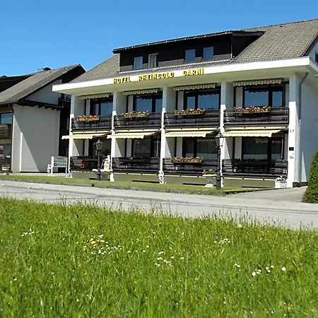 Rheingold Garni Отель типа 