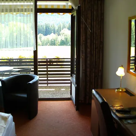 Rheingold Garni Titisee-Neustadt