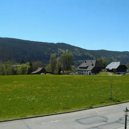 Rheingold Garni Titisee-Neustadt