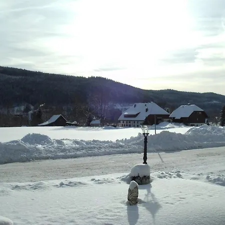 Bed & Breakfast Rheingold Garni Titisee-Neustadt