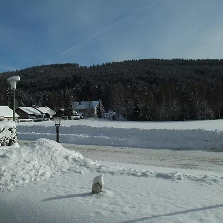Rheingold Garni 3* Titisee-Neustadt