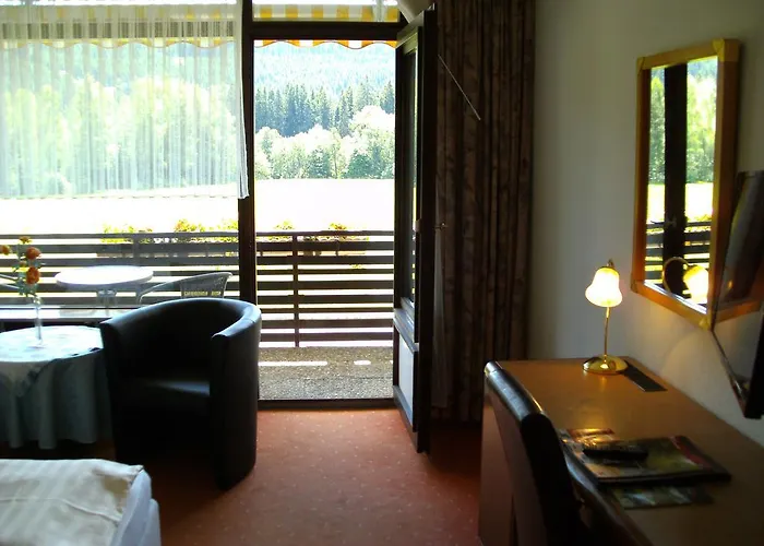 Rheingold Garni Titisee-Neustadt