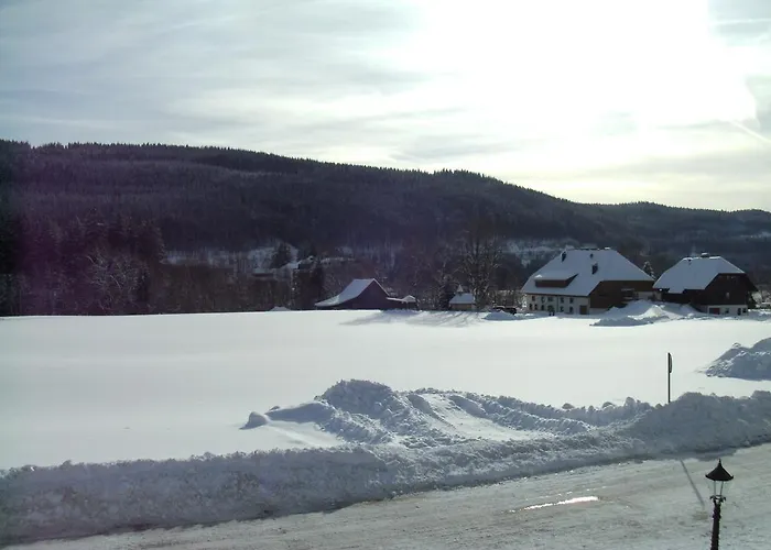 Rheingold Garni Oda ve Kahvaltı 3*