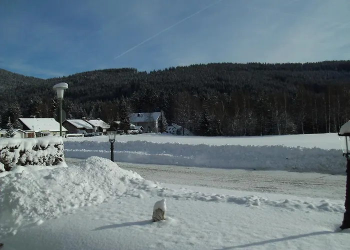 Rheingold Garni 3* Titisee-Neustadt