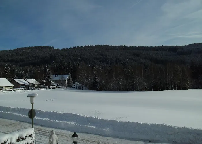 Bed & Breakfast Rheingold Garni 3*